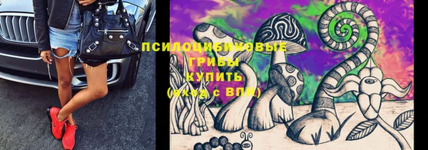 spice Алзамай